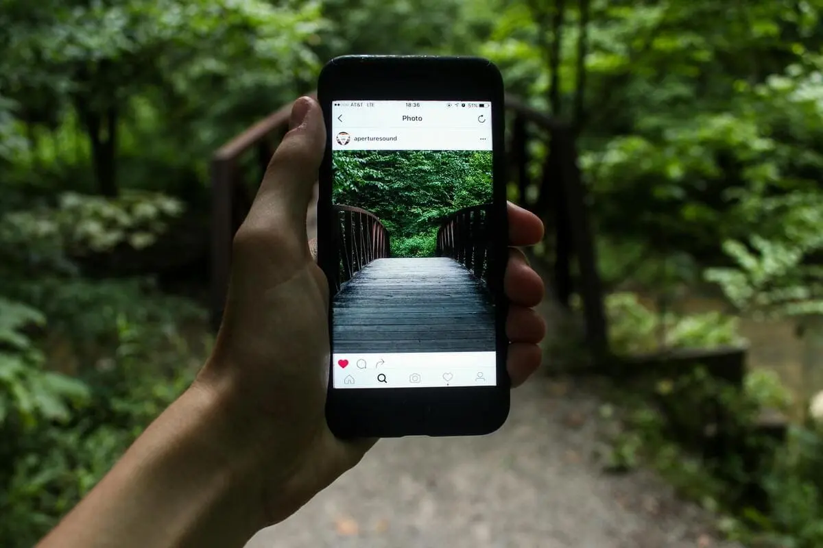 Personne tenant un smartphone montrant une photo d'un pont en bois dans une forêt.